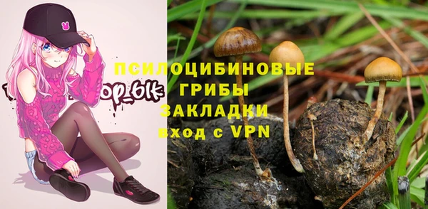 скорость Богородск