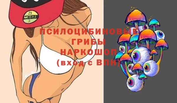 скорость Богородск