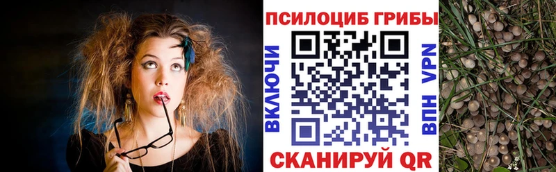 Купить где  Рассказово  Галлюциногенные грибы Cubensis 